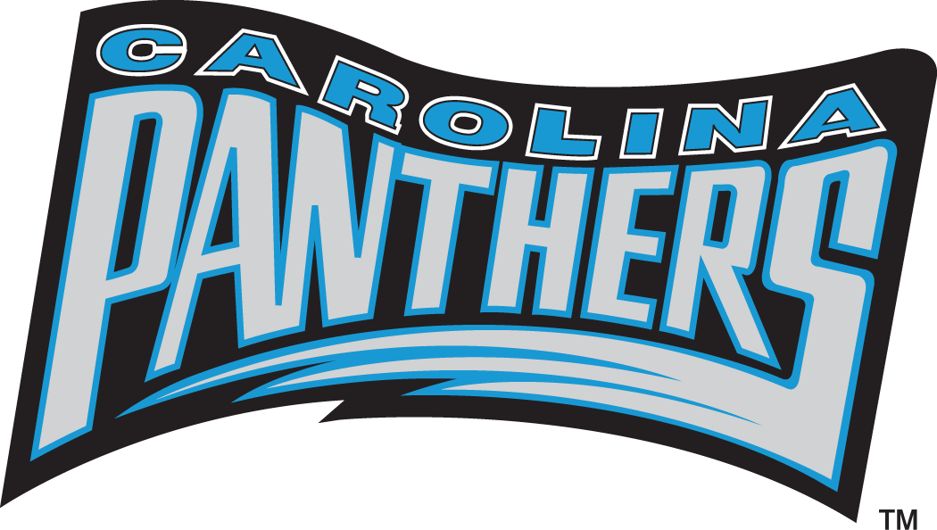 Carolina Panthers 1995 Wordmark Logo iron on transfers for T-shirts